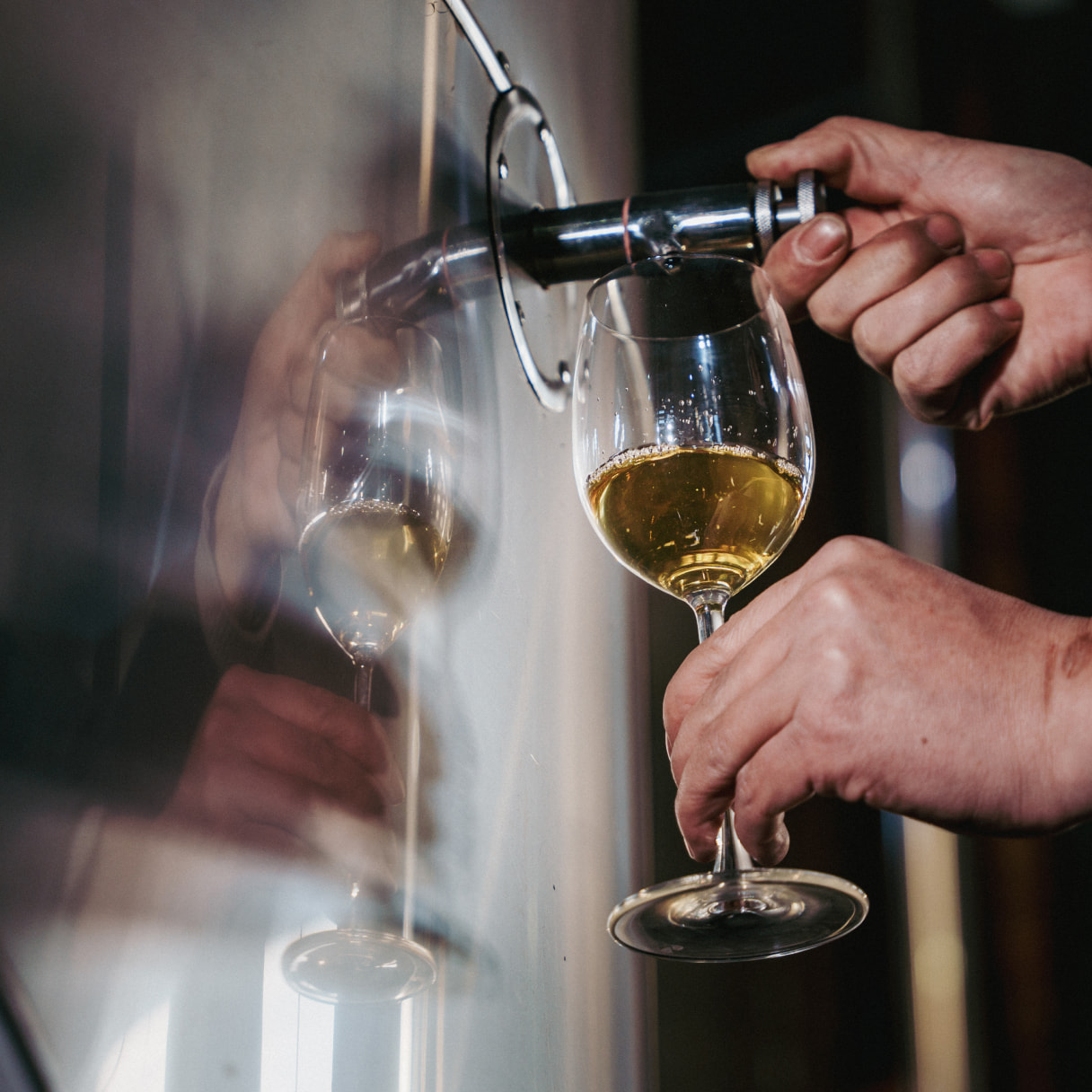 百城之旅本溪站区域筹备